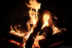 IMG_2013 (1482)