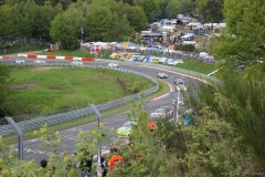 IMG_2013 (1798)