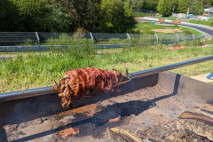 PXL_20230518_143007636