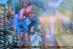 PXL_20250621_1838300742