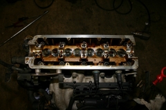 2005-04-16 (24)
